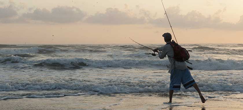 tortuguero, guide, tour