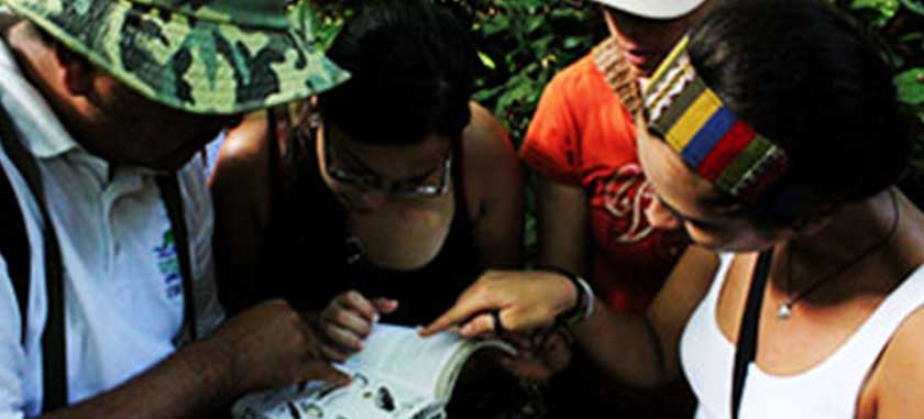 tortuguero, guide, tour