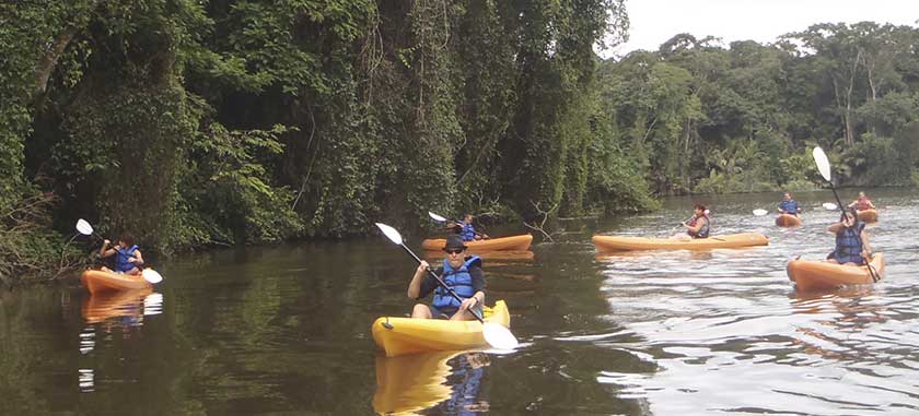 tortuguero, guide, tour