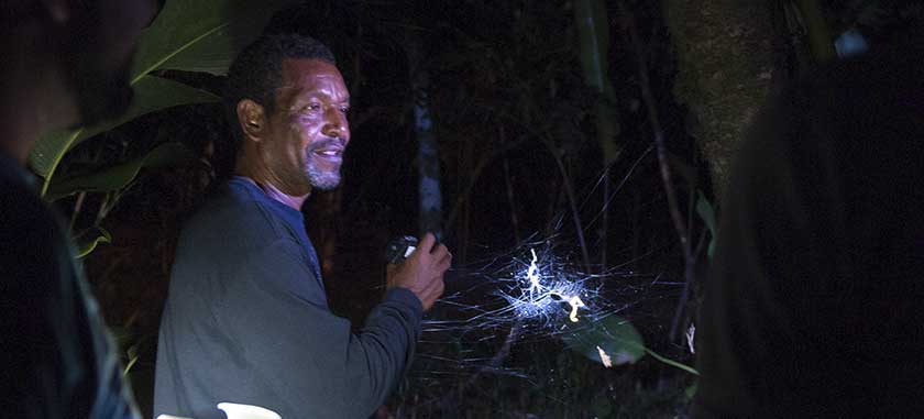 tortuguero, guide, tour